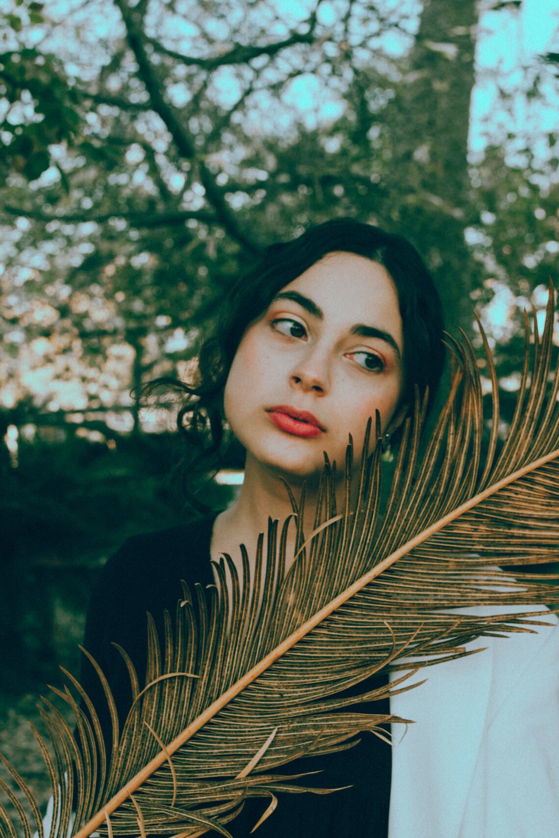 Yolanda M.